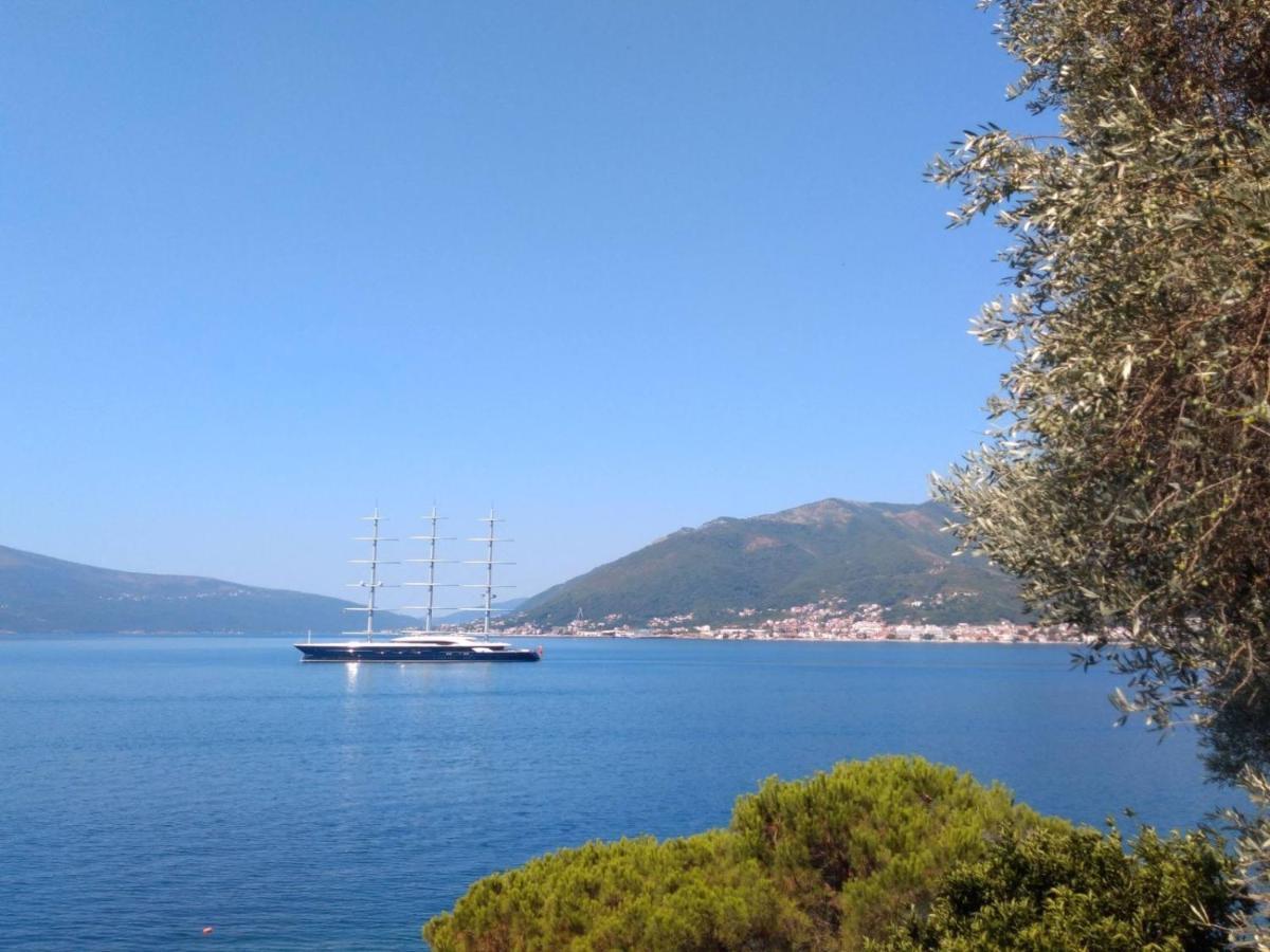 Olive Tree Apartments Tivat Dış mekan fotoğraf