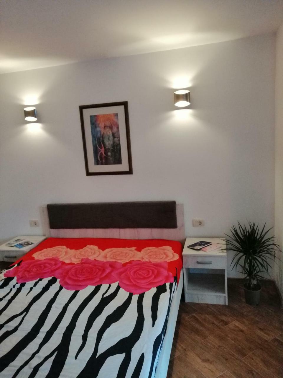 Olive Tree Apartments Tivat Dış mekan fotoğraf